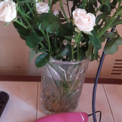 Бесконтактный клиторальный стимулятор WOMANIZER PREMIUM розовый